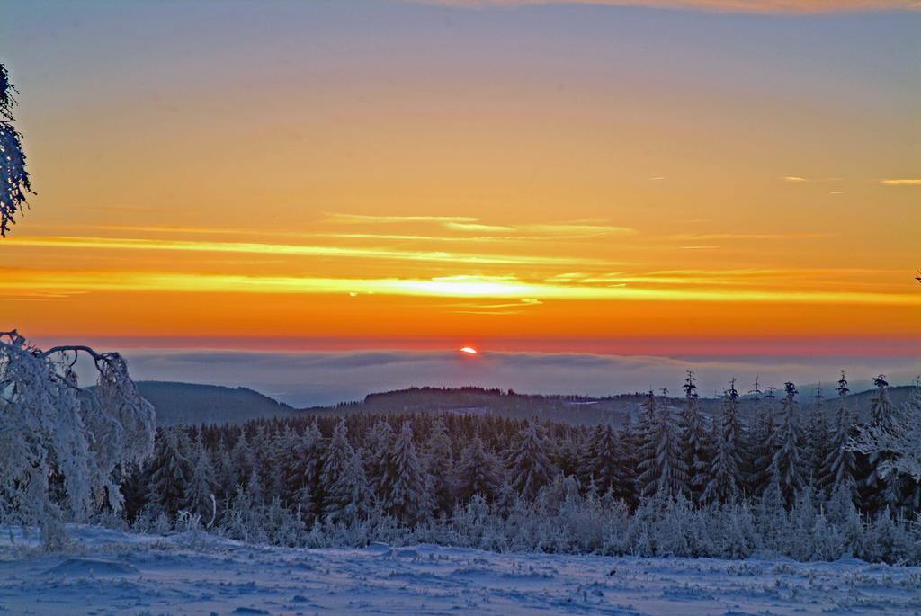 Kaisers Ferienhof ฮัลเลนแบร์ก ภายนอก รูปภาพ