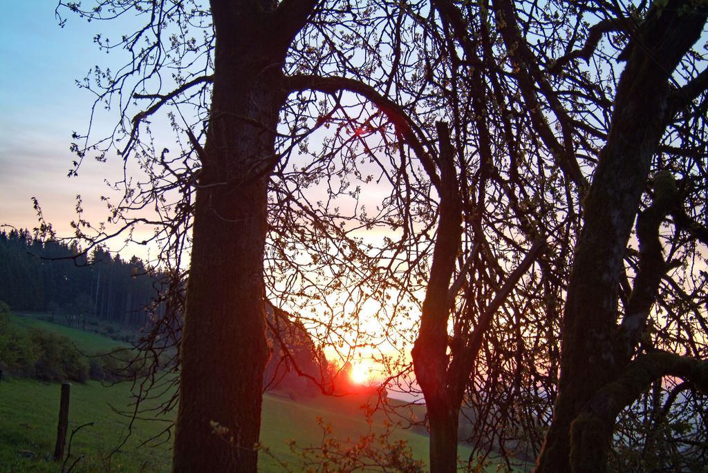 Kaisers Ferienhof ฮัลเลนแบร์ก ภายนอก รูปภาพ